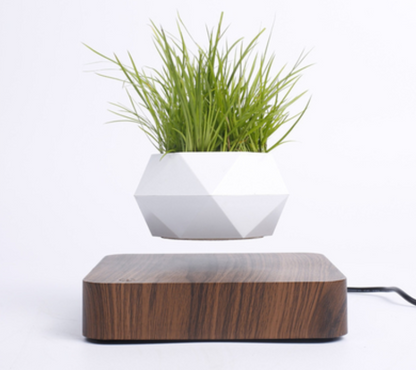 Levitos Plant Pot Raise your houseplant