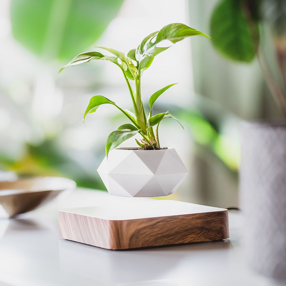 Levitos Plant Pot Raise your houseplant